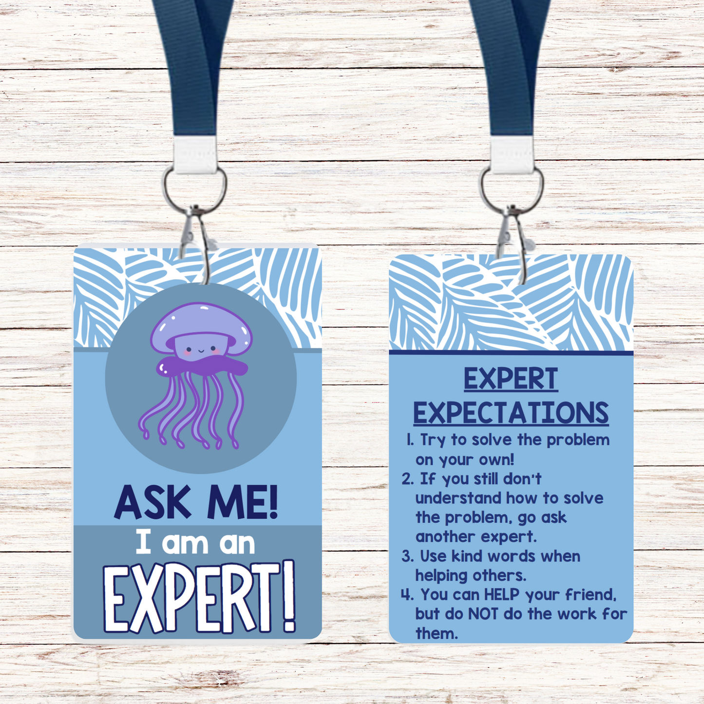 Ask Me! I am an Expert! - Classroom Sea Theme - Set of 6