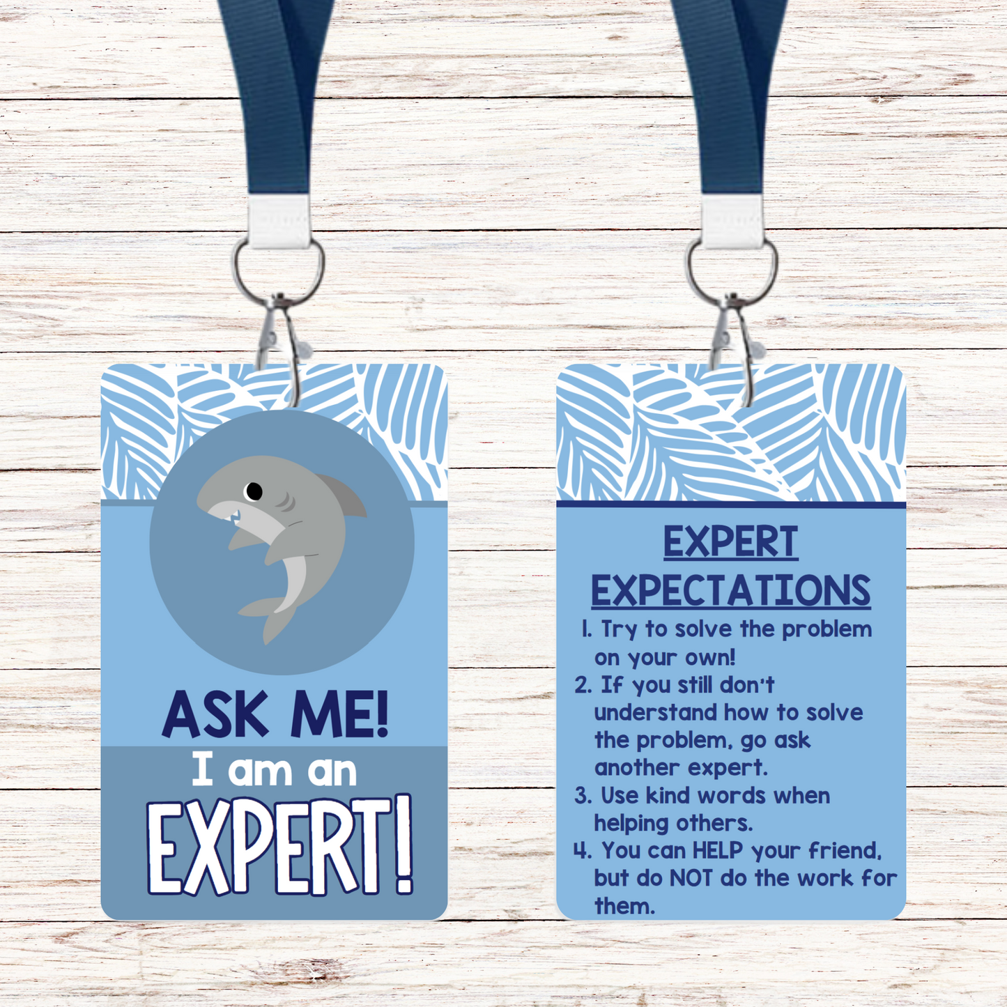 Ask Me! I am an Expert! - Classroom Sea Theme - Set of 6