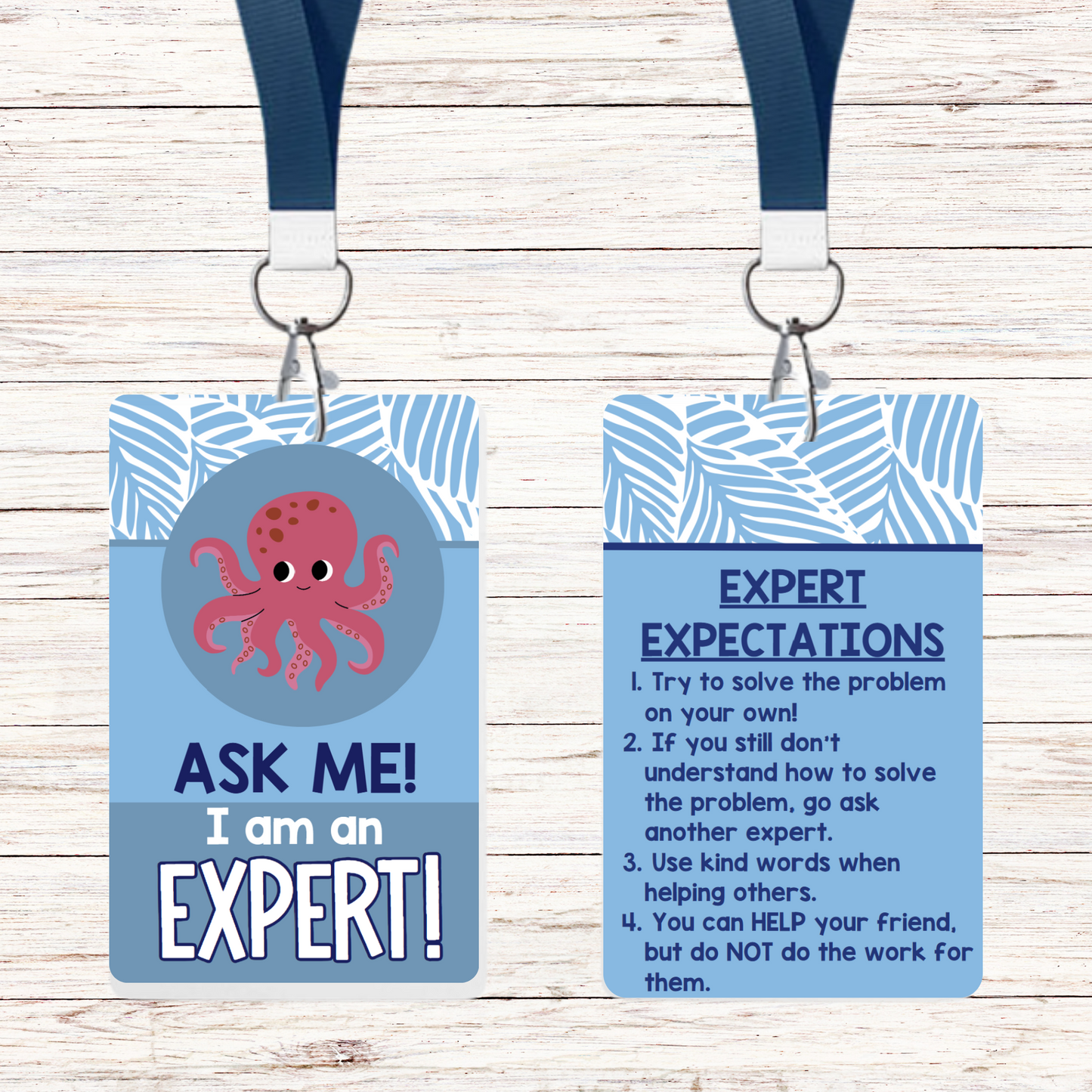 Ask Me! I am an Expert! - Classroom Sea Theme - Set of 6