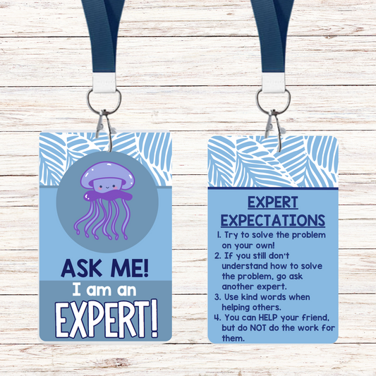 Ask Me! I am an Expert! - Classroom Sea Theme - Set of 6