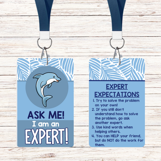 Ask Me! I am an Expert! - Classroom Sea Theme - Set of 6