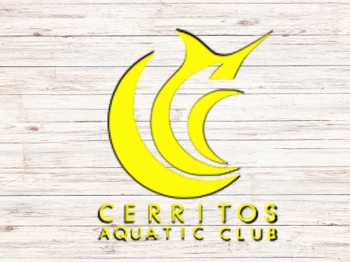 Teams – Swim Mom Customs